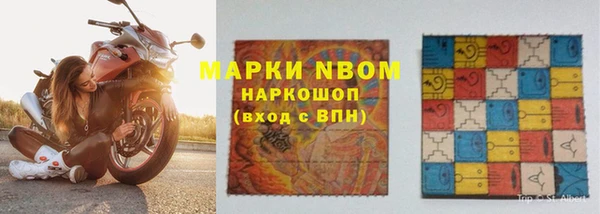 хмурый Белокуриха