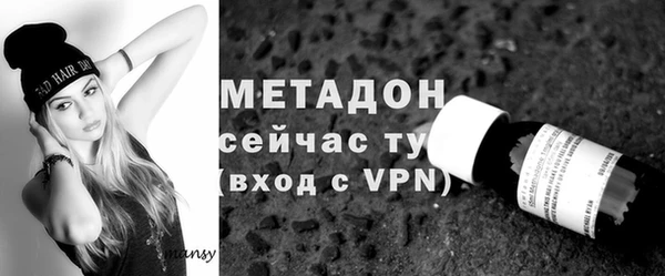 хмурый Белокуриха