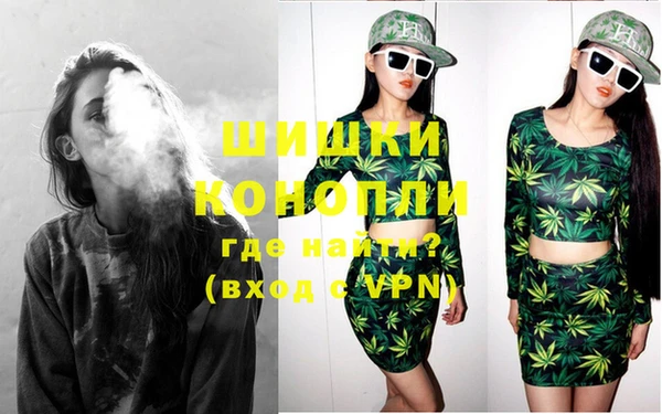 хмурый Белокуриха